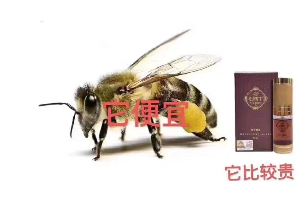 挺博士精油主要有哪些作用?什么原理呢?(图1) 挺博士精油主要有哪些作用?什么原理呢?(图1)