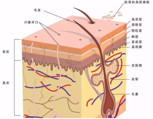 两性健康¦把这里搞污的男人,才是真男人(图4) 两性健康¦把这里搞污的男人,才是真男人(图4)