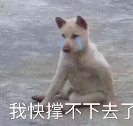 挺博士¦“硬”战技巧,打响嘿嘿的持久战(图1) 挺博士¦“硬”战技巧,打响嘿嘿的持久战(图1)