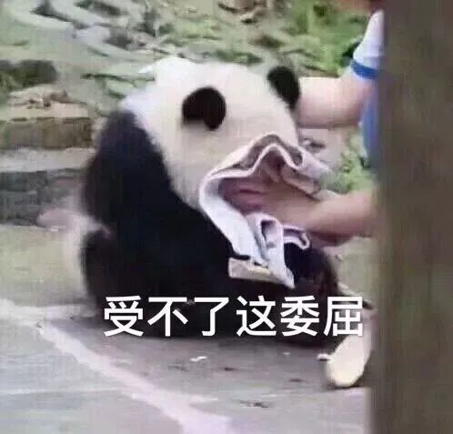 挺博士¦“硬”战技巧,打响嘿嘿的持久战(图2) 挺博士¦“硬”战技巧,打响嘿嘿的持久战(图2)