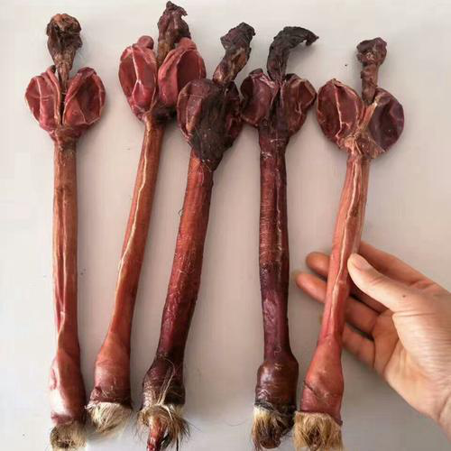 挺博士两性健康¦好肾,吃出来(图1) 挺博士两性健康¦好肾,吃出来(图1)